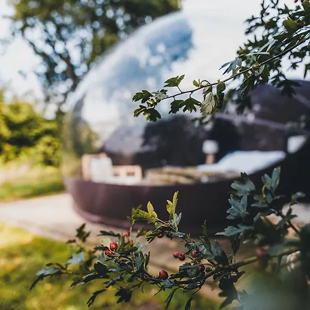 La Ferme De Basseilles 컨트리하우스 Mozet