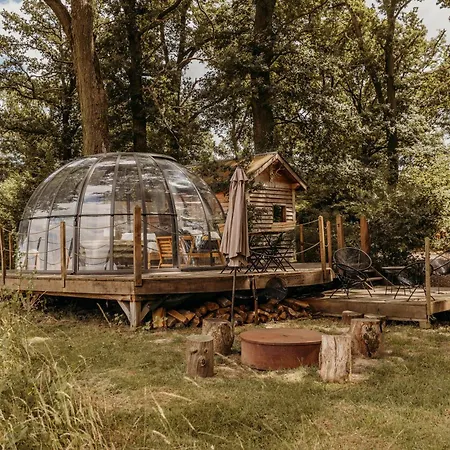 La Ferme De Basseilles Mozet